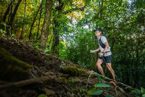 BIB: 
                            <button type="button" onclick="openModal(16015877)" class="btn btn-primary btn-sm float-right btn-popup" data-toggle="modal" data-target=".modal-high-quality">
                        <i class="fas fa-shopping-cart"></i> Add to Cart
                    </button>
                                            <button type="button" onclick="isThisMe(16015877, true)" class="btn btn-success btn-sm float-right btn-popup btn-isme hidden" data-toggle="tooltip" data-placement="bottom" title="นี่คือรูปของคุณใช่ไหม คลิกที่นี่เพื่อเอาเข้าอัลบั้ม">
                        <i class="fas fa-plus"></i> Add to album
                    </button>
                    <button type="button" onclick="isThisMe(16015877, false)" class="btn btn-warning btn-sm float-right btn-popup btn-isnotme hidden">
                        <i class="fas fa-ban"></i> Remove from album
                    </button>